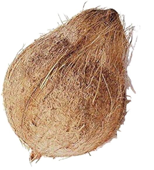 Fully Husked Coconut