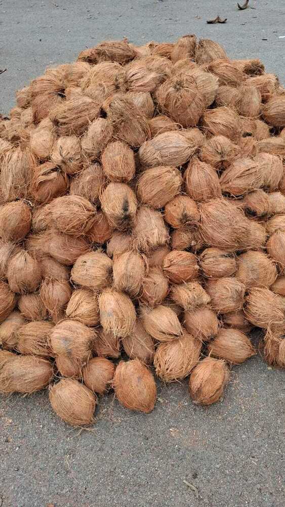 Husked Coconut