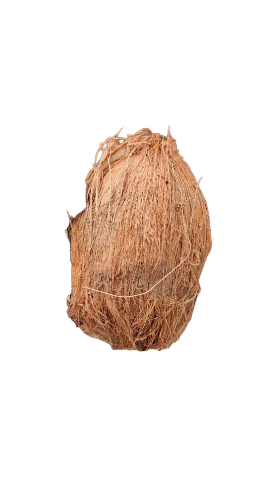 Natural Husked Coconut