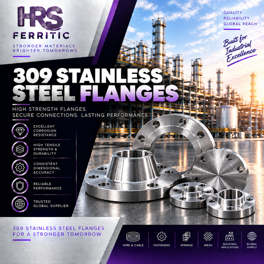 309 SS Flanges