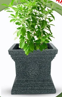 Jaguar Tulsi Pot Cafe Marble
