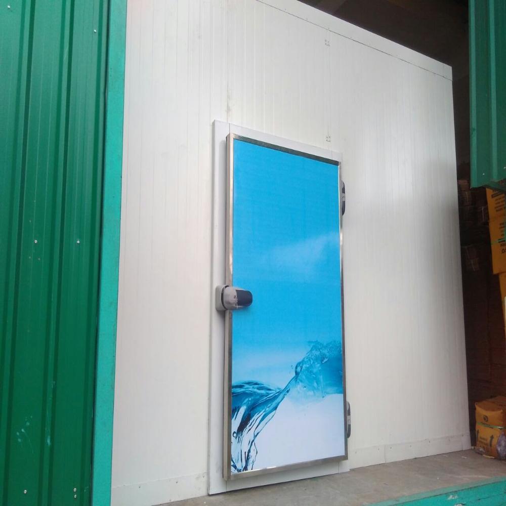 Cold Room Doors