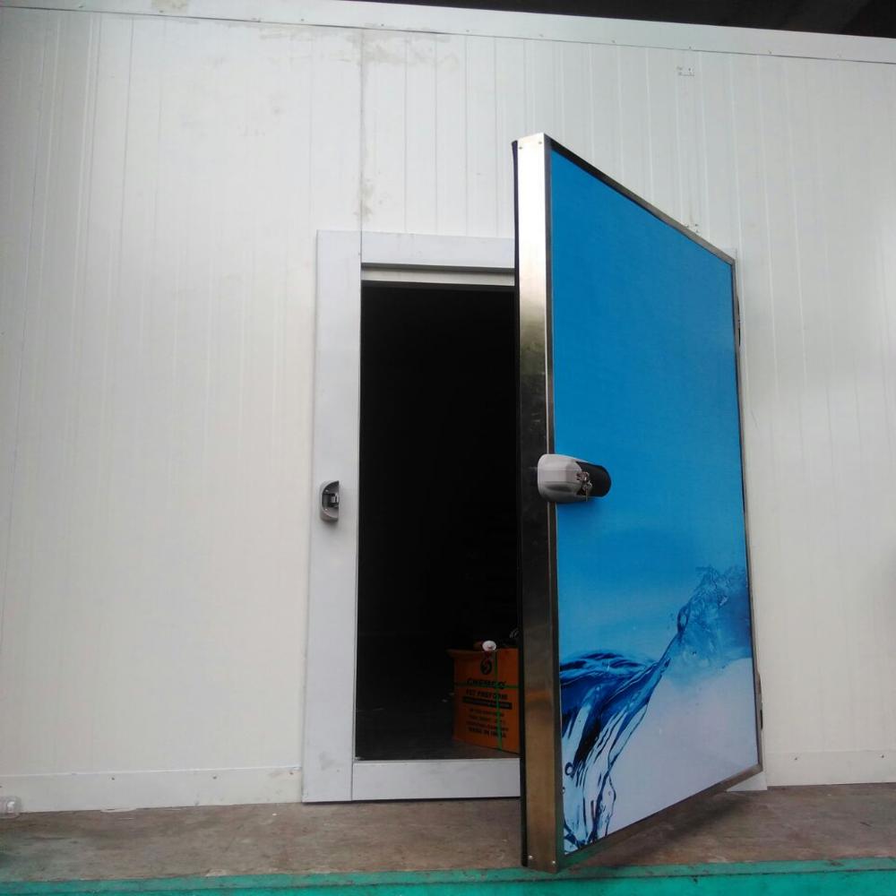 Cold Room Doors