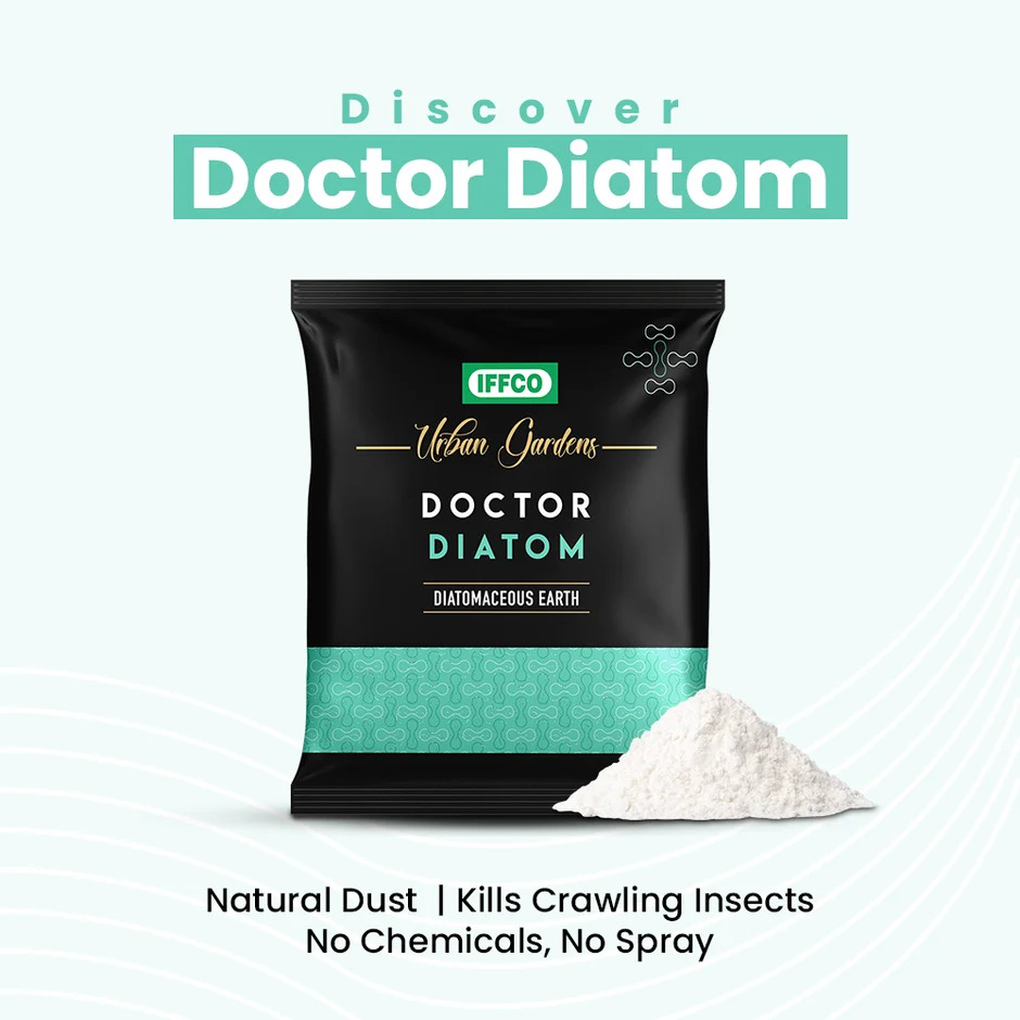 Dr diatom