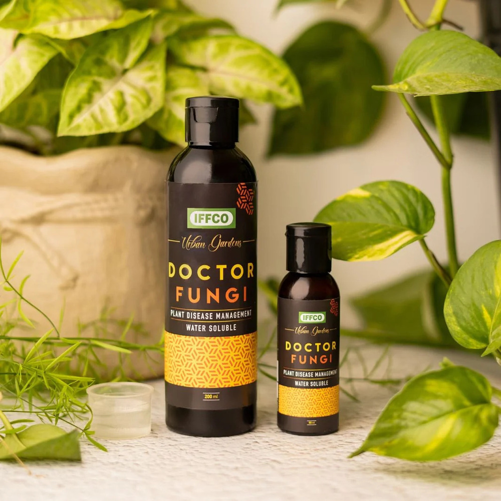 Dr Fungi