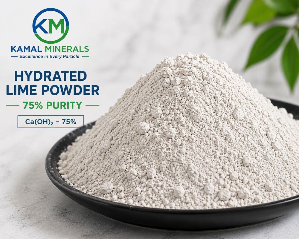 75% Purity Hydrated Lime Powder
