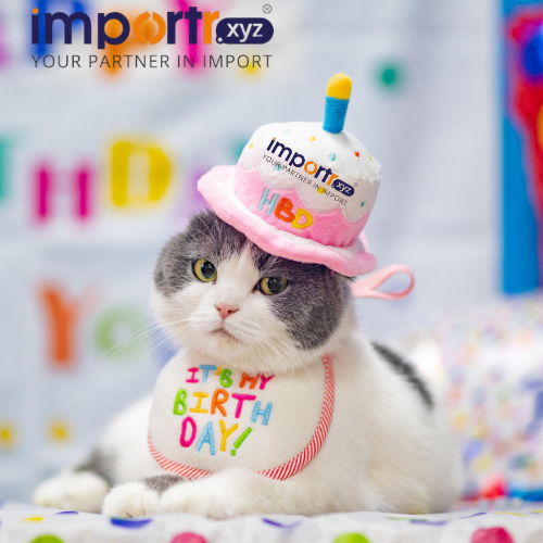 Dog Birthday Hat With Cake & Candles