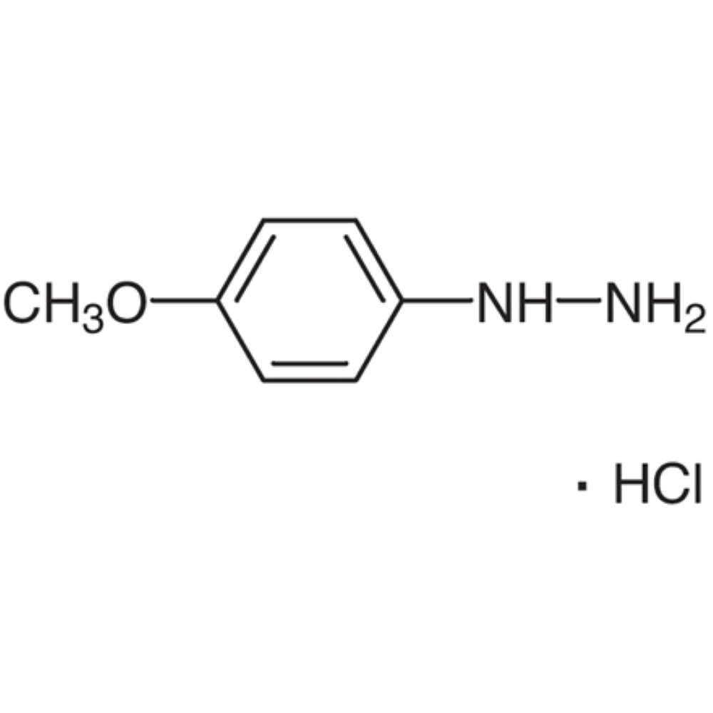 4-Methoxy Phenyl Hydrazine Hydrochloride
