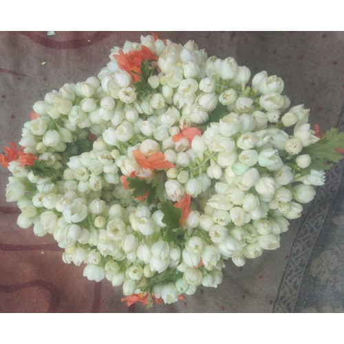 Fresh White Jasmine Buds