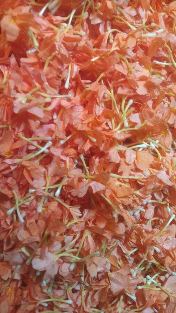 Kanakambaram Flower