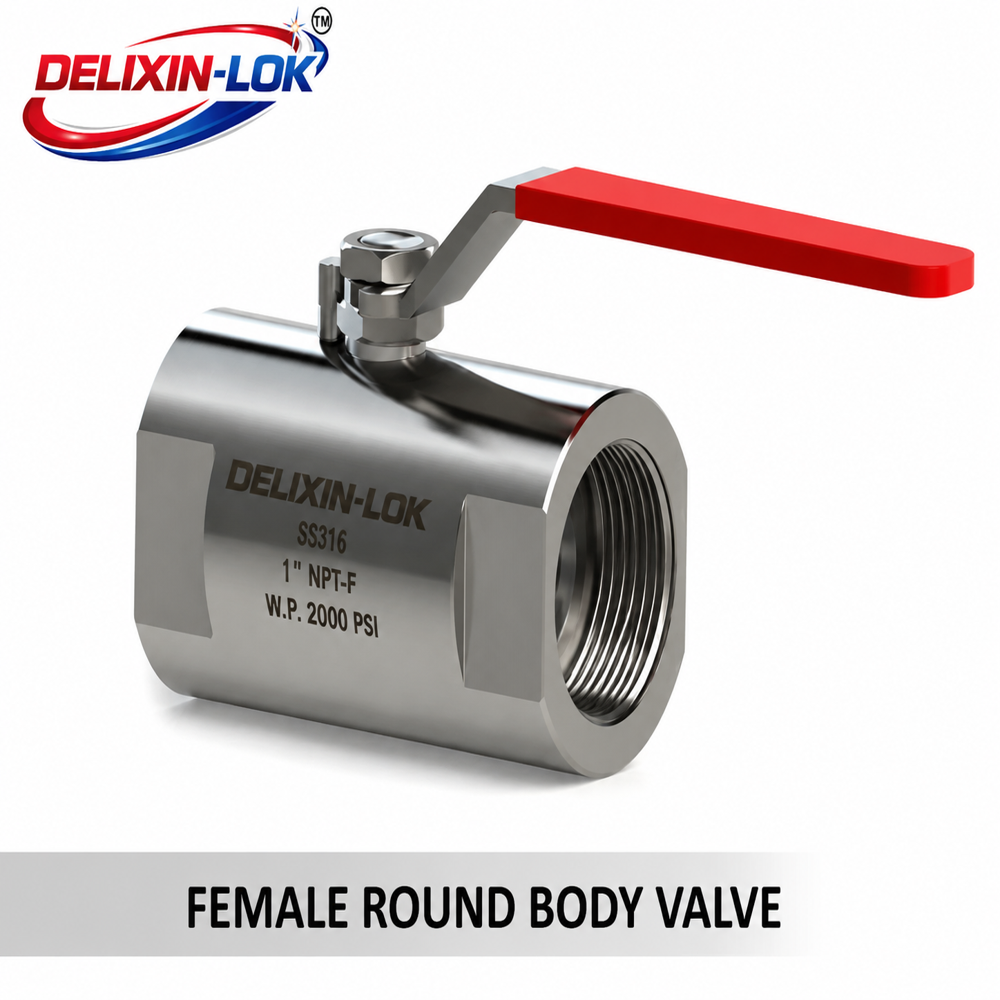Delixin-lok Female Round Body Ball Valve