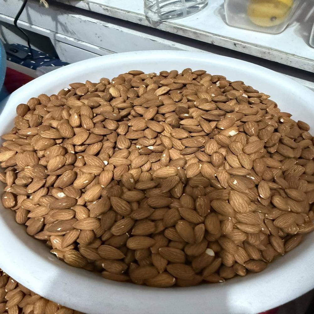 California Almond Nuts