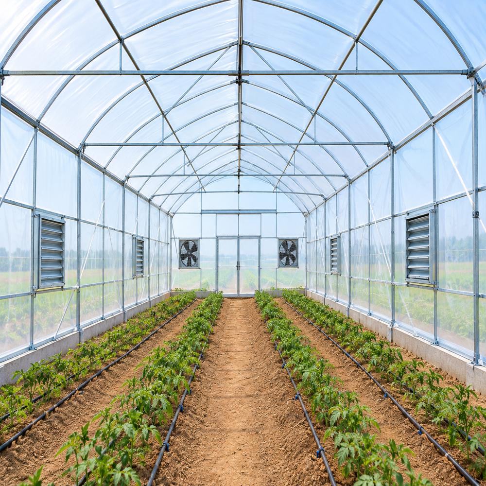 Poly Greenhouse Structure - Advantage: High Crop Yield