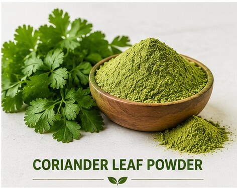Coriander Leaf Powder