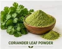 Coriander Leaf Powder - Color: Green