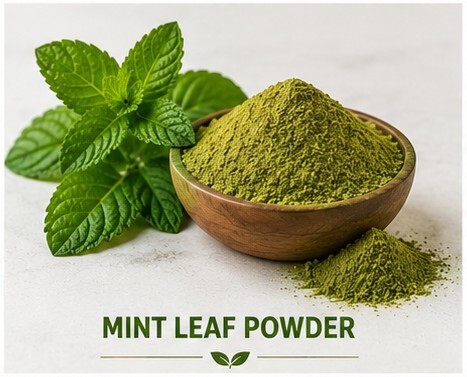 Mint Leaf Powder