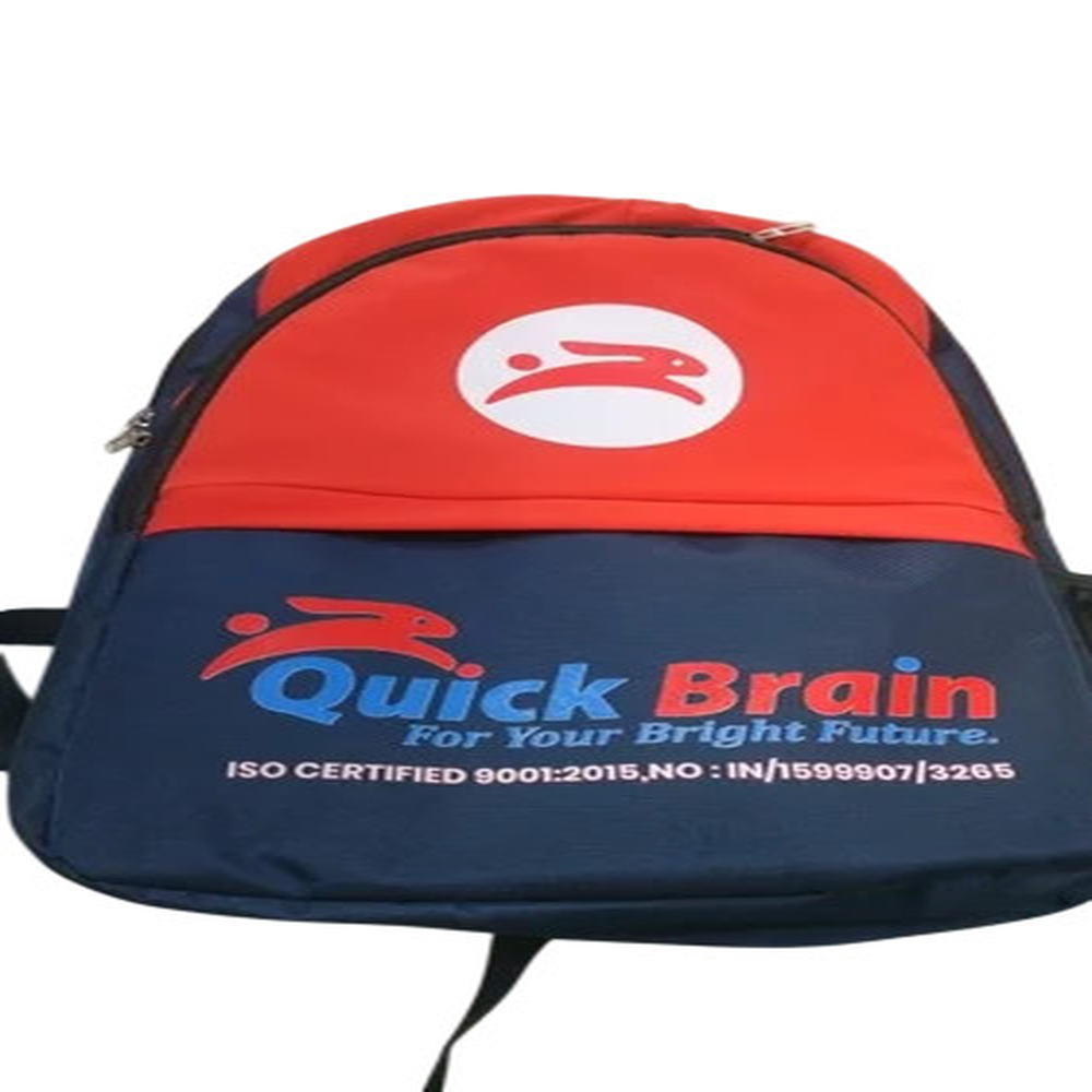 Customized School Bag - Capacity: 20 To 30 L