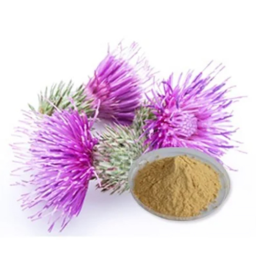 Milk Thistle Extract