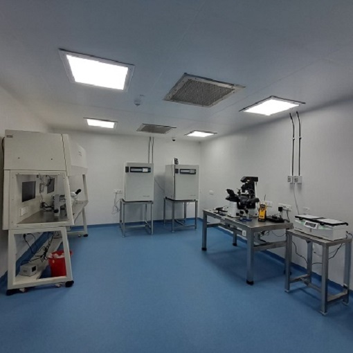 Ivf Lab Setup - Dimension (L*w*h): 2100 Mm X 760 Mm X 800 Mm (Approx.) Meter (M)