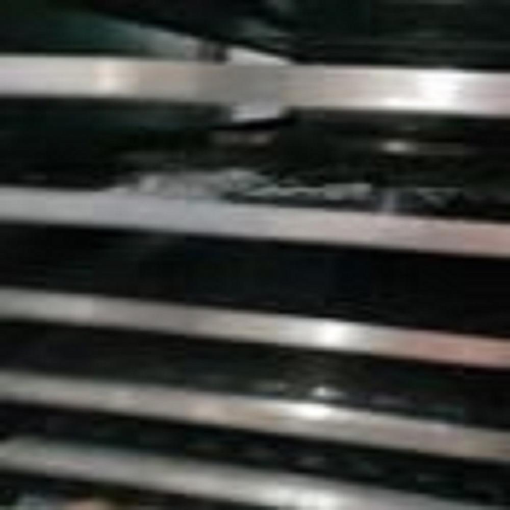 Mariya Tray Dryer or Oven 48 Tray 1.5 HP SS Trays