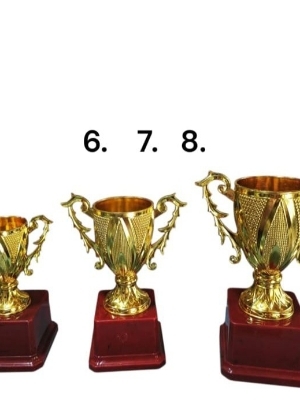 Open Cup Trophy - Material: Plastic