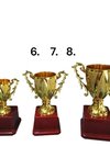 Open cup Trophy