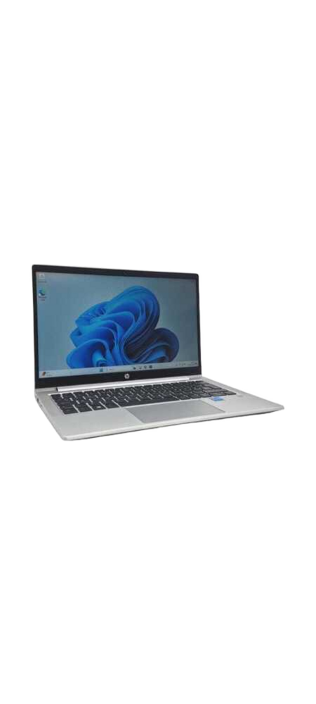 HP ProBook 440 G11 Business Laptop