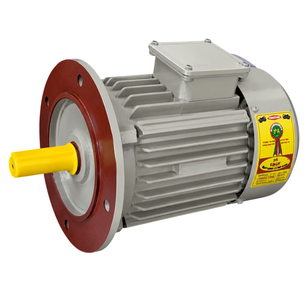 Vertical Motor