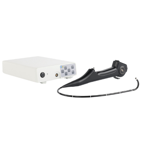 Flexible Cystoscope