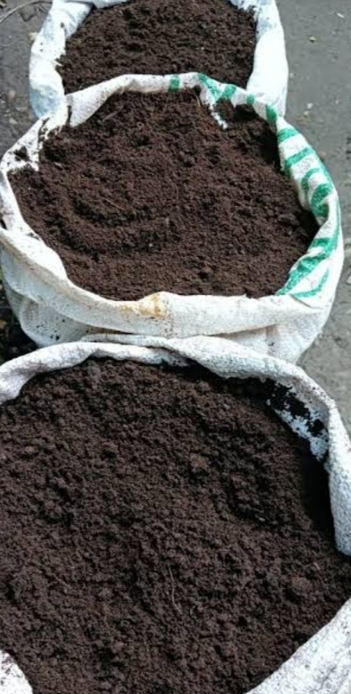 Organic Vermicompost