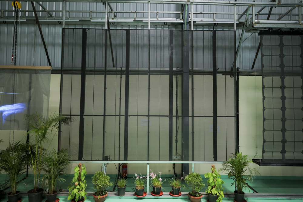 Indoor Advertising LED Screen