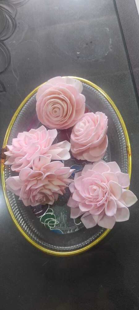 Pink Sola Flower Collection