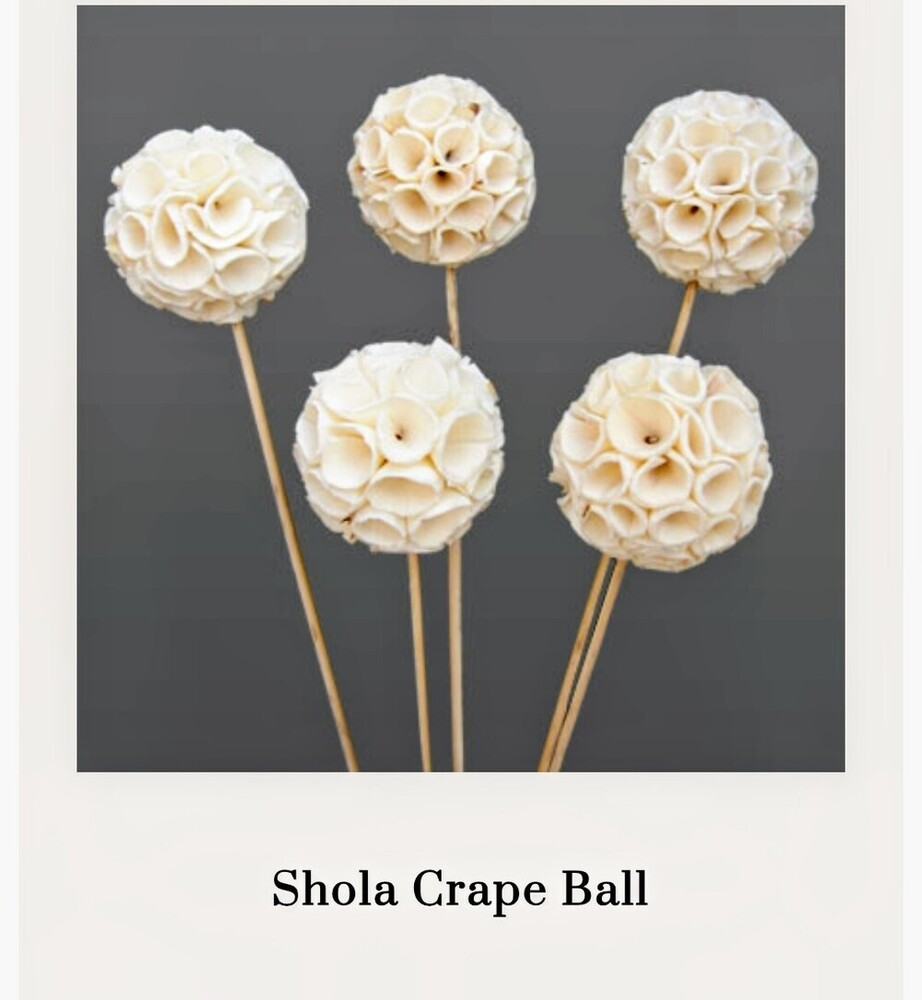 Sola Grape Ball