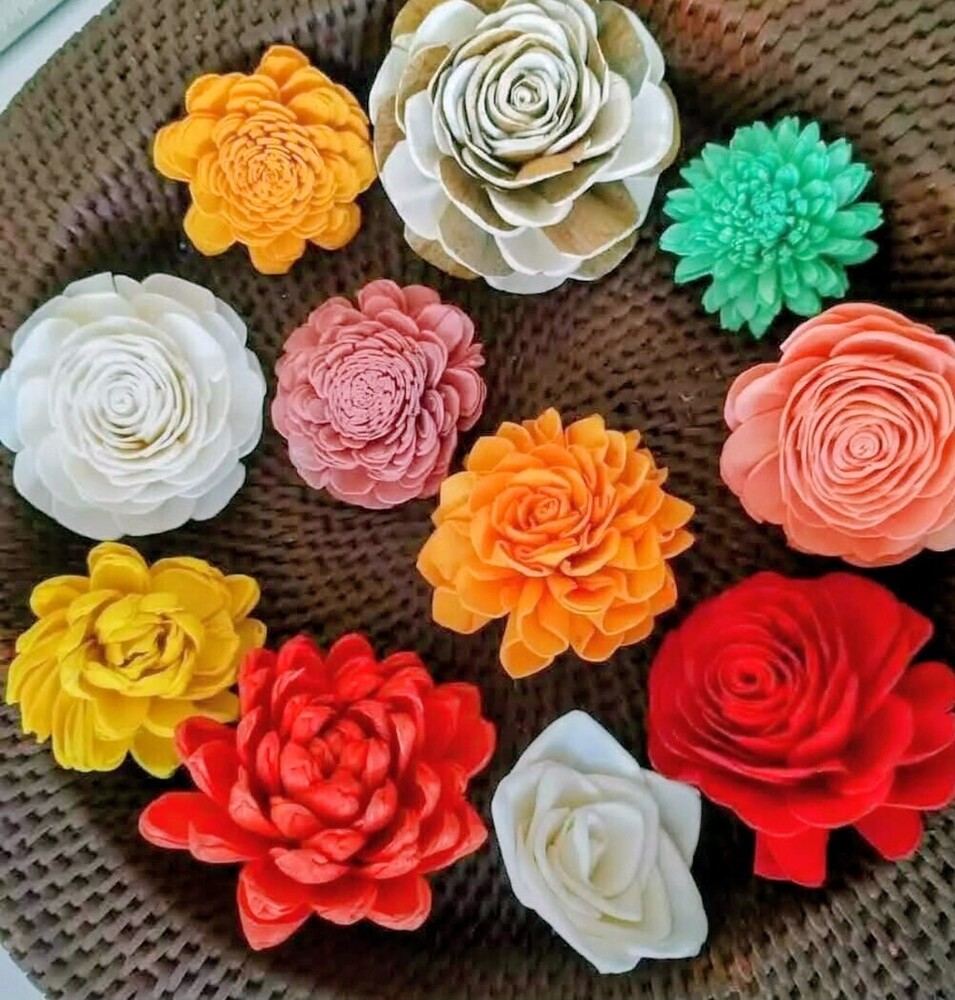 Sola Flowers