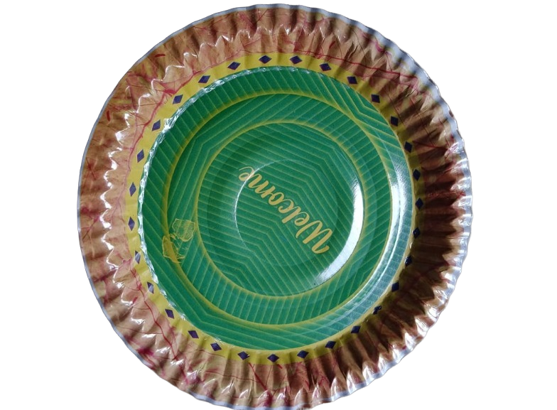 12 Inch Disposable Paper Plate - Application: Serving Food