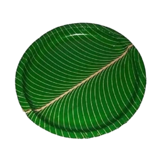 Green Paper Plate