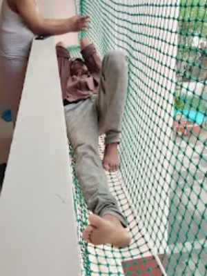 Birds net