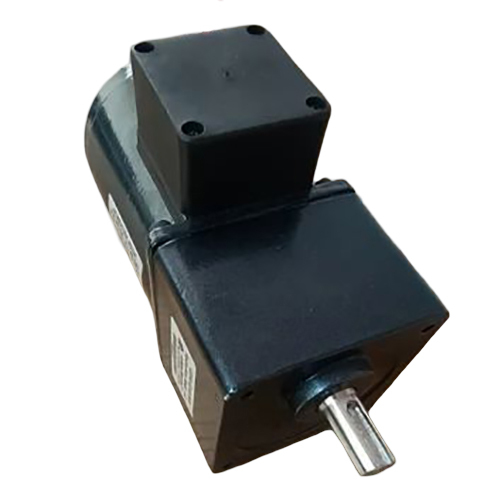 40 Watt AC Induction Gear Motor