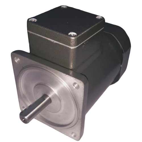 25 Watt Motor With Gear Box