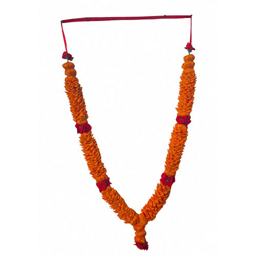Fancy Bela 3 Step-20 inch-50 cm