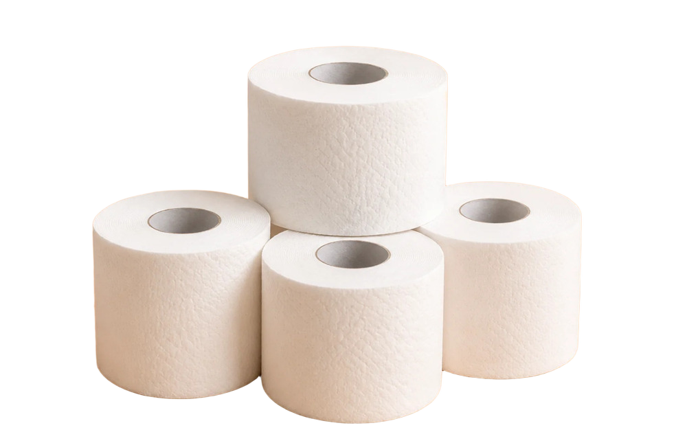 Shiuli Toilet Paper Roll - Pack of 4