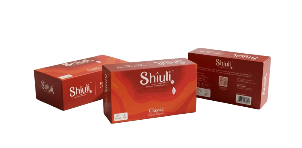 Facial Tissues Box (Pack of 4, 2 Ply)