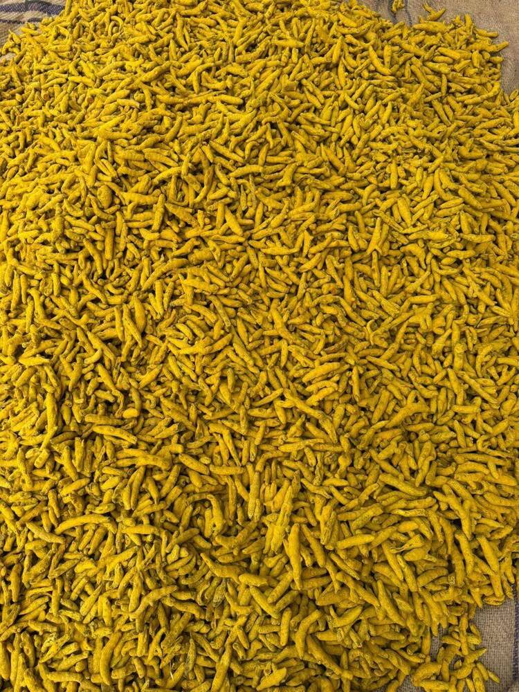 Dry Turmeric Fingers