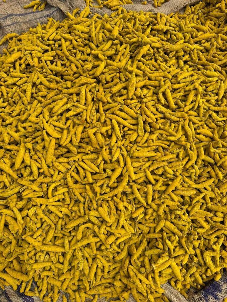 Dry Turmeric Fingers
