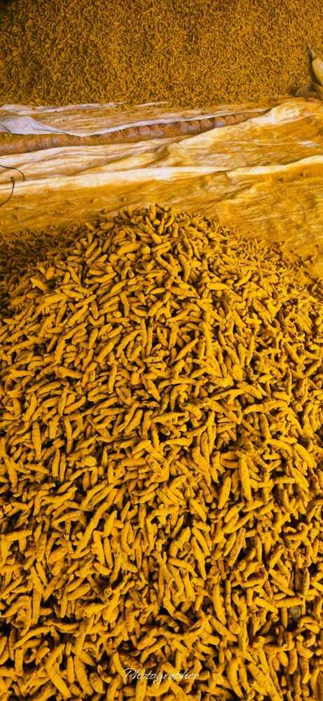 Dry Turmeric Fingers