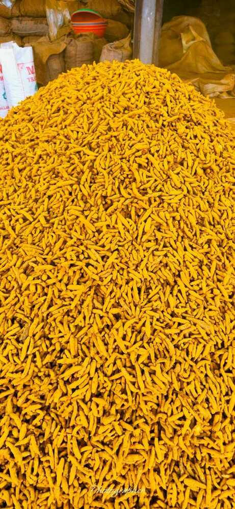 Double Polished Turmeric Finger