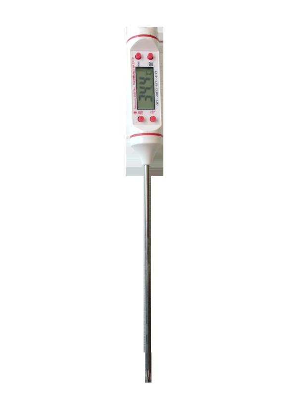 Digital thermometer