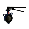 Butterfly Valve