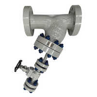 Y Strainer With Gate Valve
