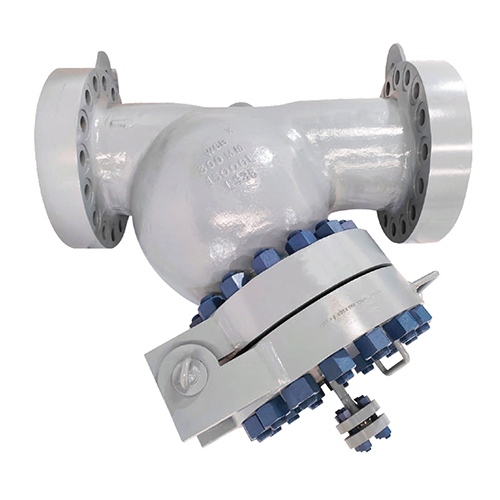 Y Type Strainer